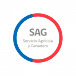 sag